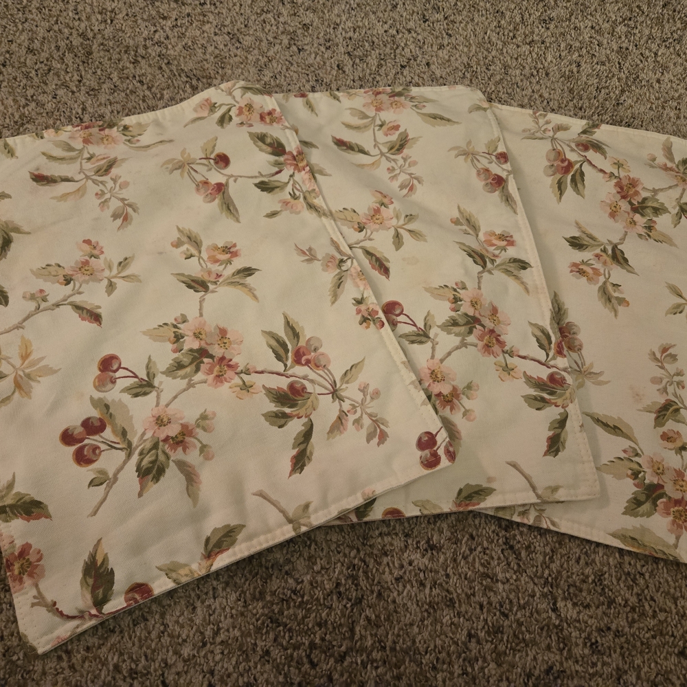 Vintage Cottagecore Floral Fruit Placemats Set of 3 Cream Pink Rose Apple Branch